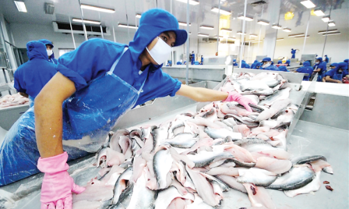 Ngành cá tra hướng đến thị trường xuất khẩu mới