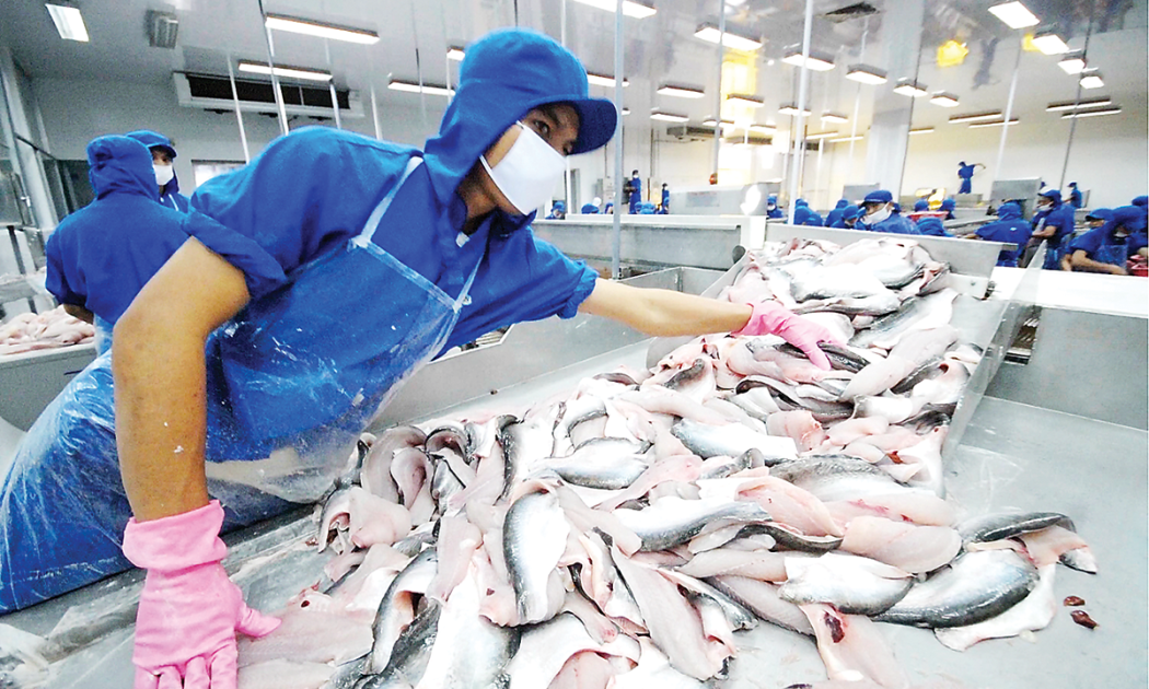 Xuất khẩu cá tra vẫn chưa lấy lại được tăng trưởng dương.