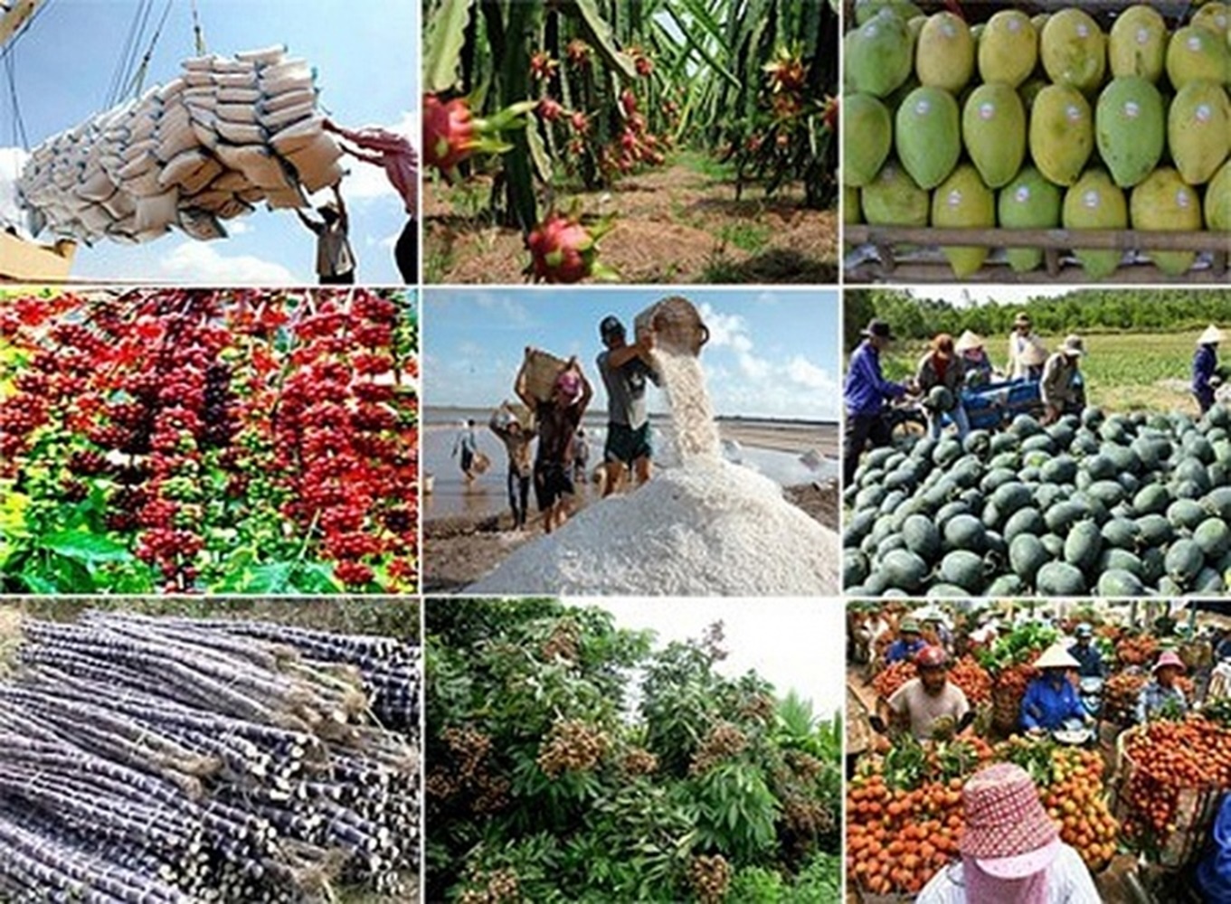 Xuất khẩu nông lâm thủy sản 4 tháng đầu năm 2024 tăng 24% so với cùng kỳ năm trước.