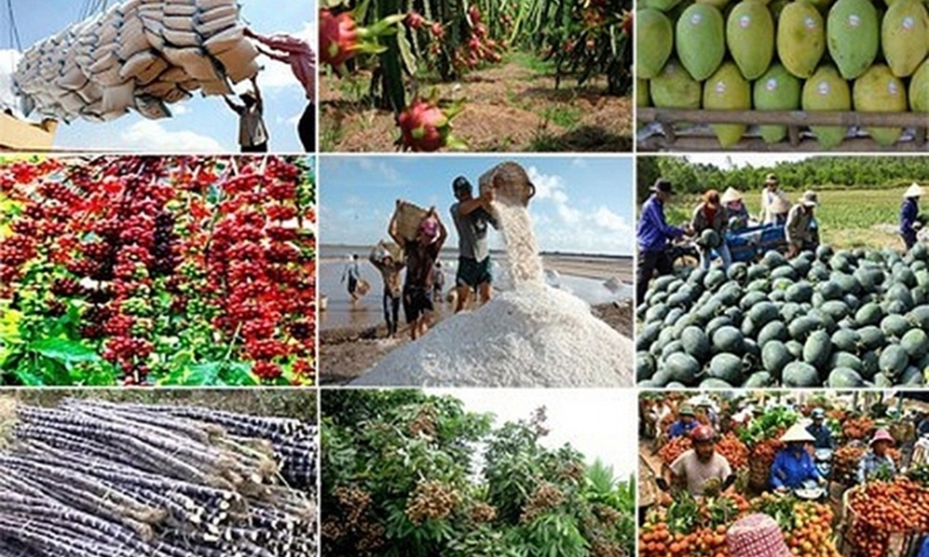 Xuất khẩu nông lâm thủy sản 4 tháng đầu năm 2024 tăng 24% so với cùng kỳ năm trước.