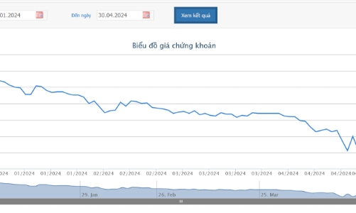 Nợ gần 92 tỷ tiền thuế, ThuDuc House nhận được quyết định ngừng sử dụng hoá đơn của Cục thuế Tp.HCM