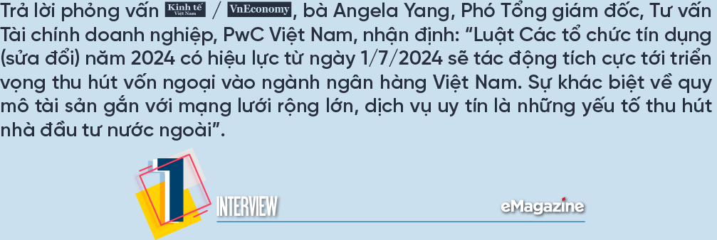 Ngành ngân hàng Việt Nam: Triển vọng thu hút vốn ngoại - Ảnh 2