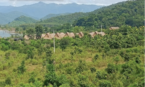 Bình Thuận kiên quyết xử lý dứt điểm hành vi lấn, chiếm, sử dụng đất rừng trái mục đích 