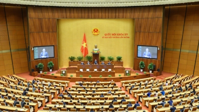 Vietnam's National Assembly Convenes Extraordinary Session to Address Human Resource Matters