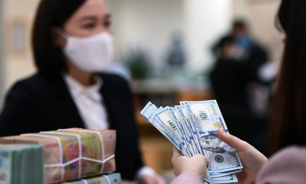 Tỷ giá liên ngân hàng ổn định quanh mức bán can thiệp của Ngân hàng Nhà nước.