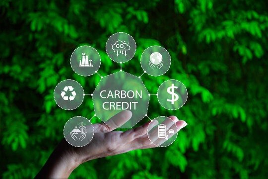 Vietnam Intensifies Carbon Credit Management to Fulfill Nationally Determined Contributions