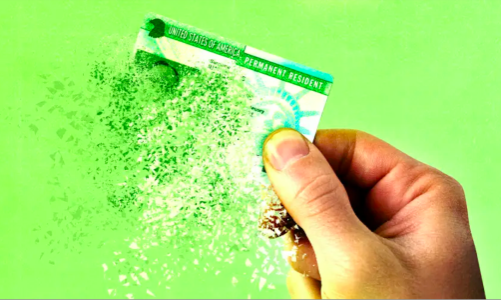 Nhiều công ty công nghệ lớn của Mỹ tạm ngừng xin thẻ xanh cho lao động nước ngoài