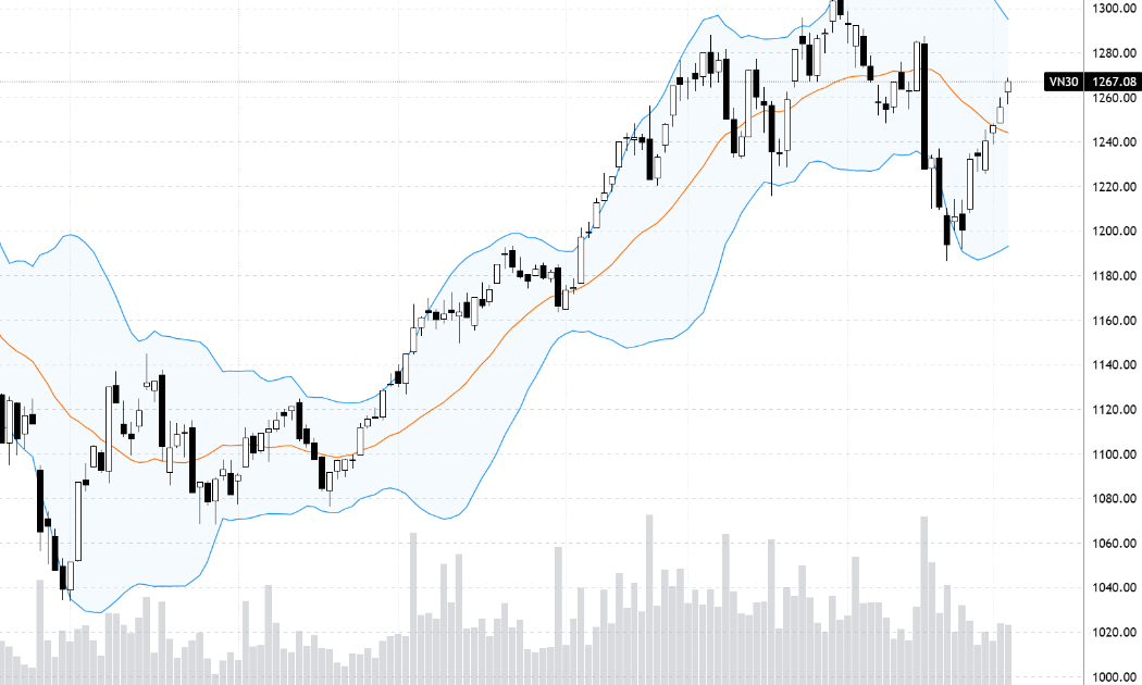 Diễn biến chỉ số VN30-Index.