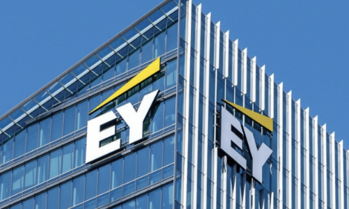 Một doanh nghiệp có 30 Phó tổng giám đốc, doanh thu 1.400 tỷ và chi một nửa trả ban lãnh đạo 