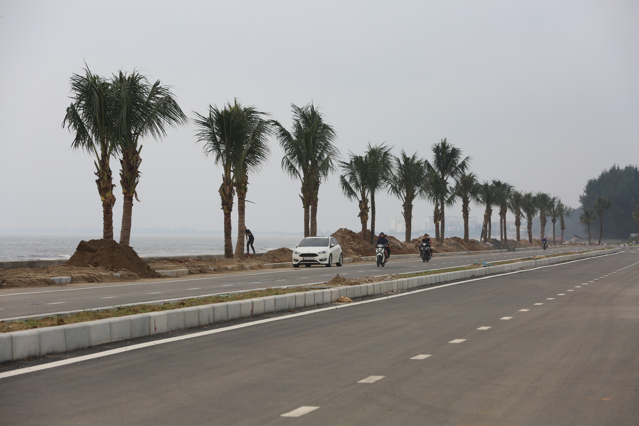 Dọc k&egrave; biển, chủ đầu tư đ&atilde; cho trồng hơn 300 c&acirc;y dừa để tạo kh&ocirc;ng gian xanh v&agrave; che b&oacute;ng m&aacute;t cho du kh&aacute;ch khi đến tham quan, tắm biển Hoằng Trường