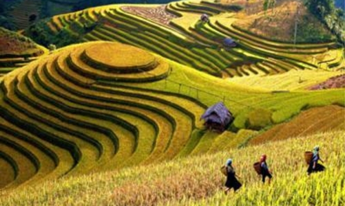 Hướng tới mục tiêu phát triển kinh tế xanh, kinh tế bền vững tại vùng trung du và miền núi phía Bắc đến năm 2030