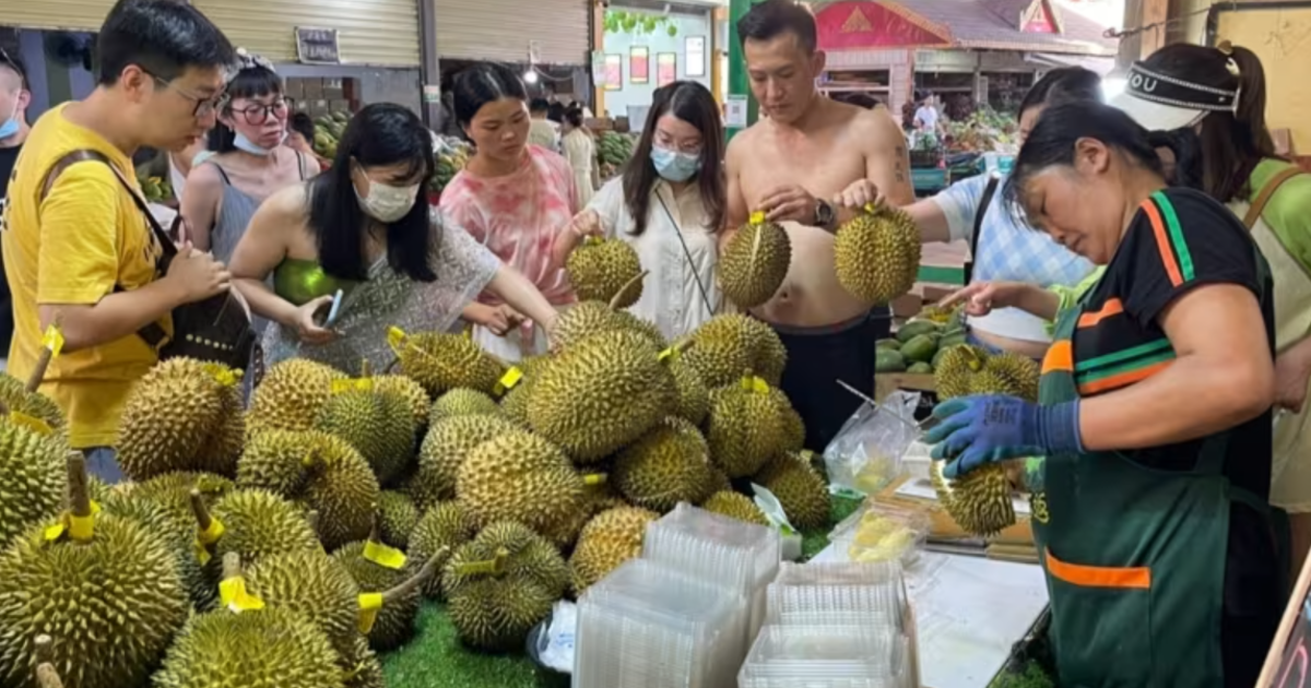 vneconomy.vn