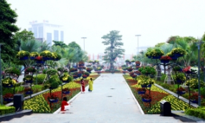 Hải Phòng chuyển mục đích hơn 26 ha đất trồng lúa để xây dựng 13 công viên