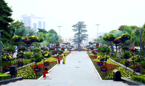 Hải Phòng chuyển mục đích hơn 26 ha đất trồng lúa để xây dựng 13 công viên