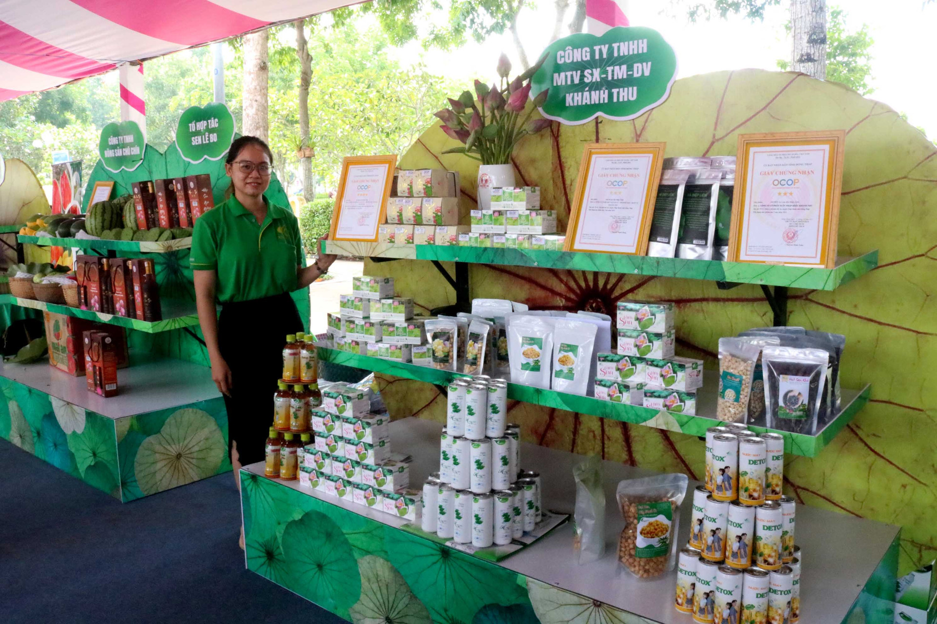 Tại&nbsp;Đồng Th&aacute;p, trồng sen mang lại lợi nhuận 36 - 40 triệu đồng/ha mỗi năm, cao gấp 3 lần trồng l&uacute;a.