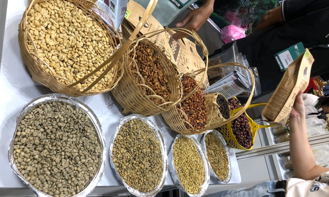 Giới thiệu các loại hạt cafe tới người tiêu dùng.