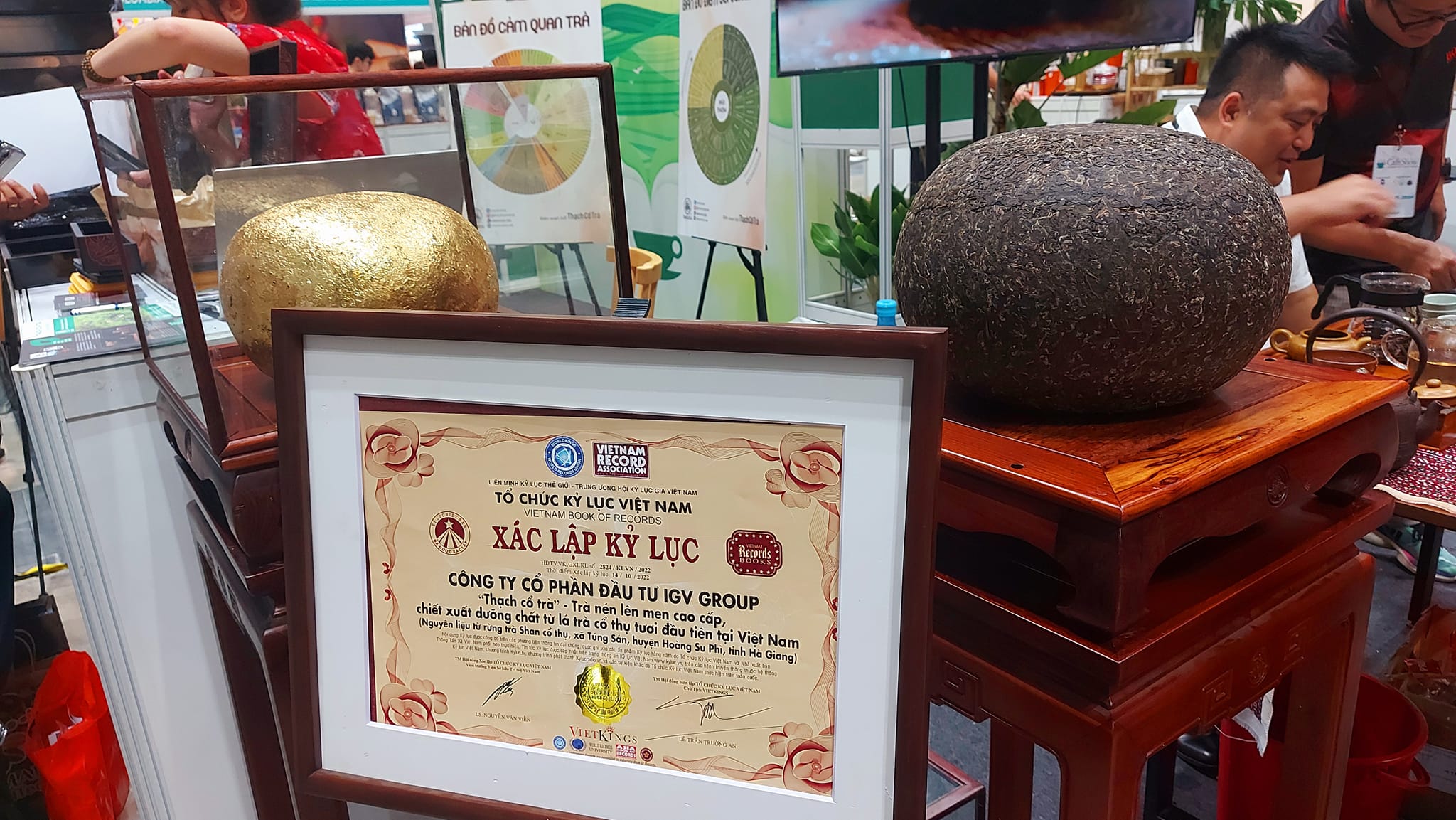 Thạch cổ tr&agrave; l&agrave; loại tr&agrave; l&ecirc;n men của c&aacute;c nghệ nh&acirc;n tr&agrave; Việt c&oacute; học hỏi kỹ thuật từ Trung Quốc.