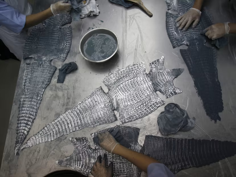 T&uacute;i x&aacute;ch, gi&agrave;y d&eacute;p v&agrave; quần &aacute;o l&agrave;m từ da động vật qu&yacute; hiếm nằm trong số những mặt h&agrave;ng xa xỉ đắt đỏ v&agrave; được ưa chuộng nhất thế giới.