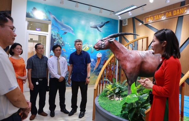 Một gian khu trưng bày ngành động vật (chim, thú, bò sát, lưỡng cư, côn trùng, cá, động vật đáy)