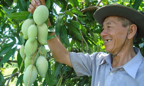 Lẽ hội trái cây Tiền Giang 2024: Nơi hội tụ “cảm xúc miền nhiệt đới”