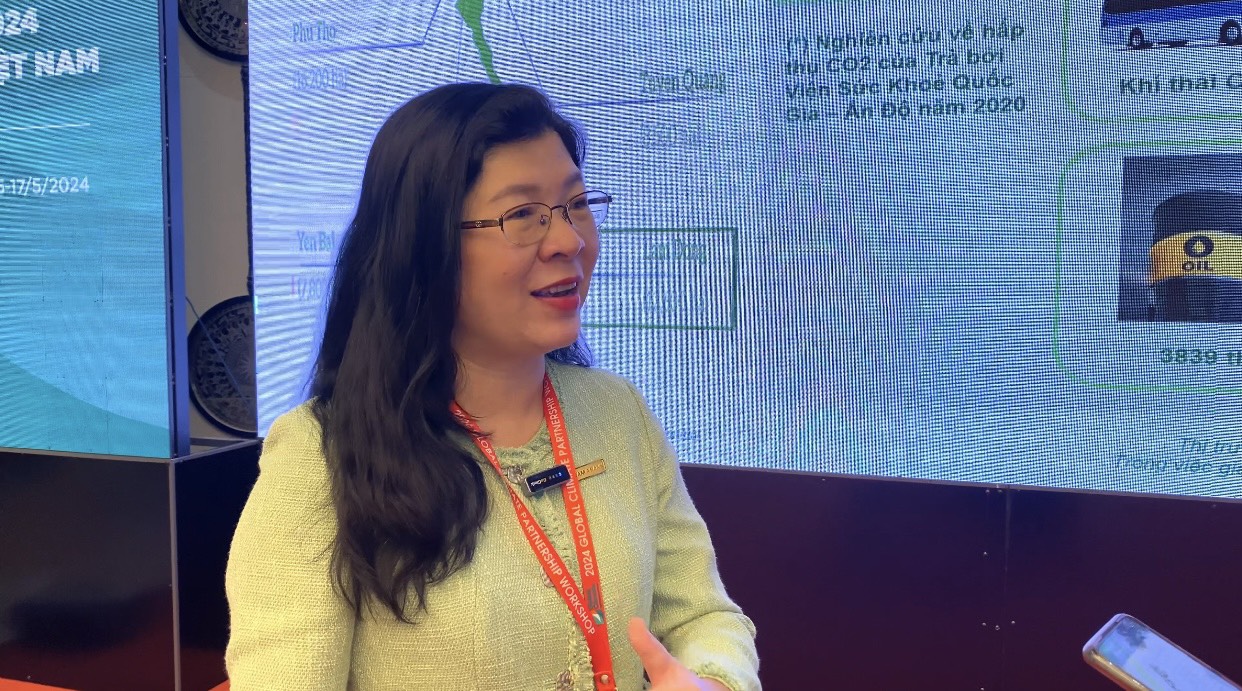 B&agrave; Hồ Nguyễn Th&uacute;y Vy, Ph&oacute; Tổng Gi&aacute;m đốc của Nam &Aacute; Bank.&nbsp;Ảnh: Hồng Hạnh