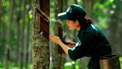 Rubber exports hit $743 mln in 4M