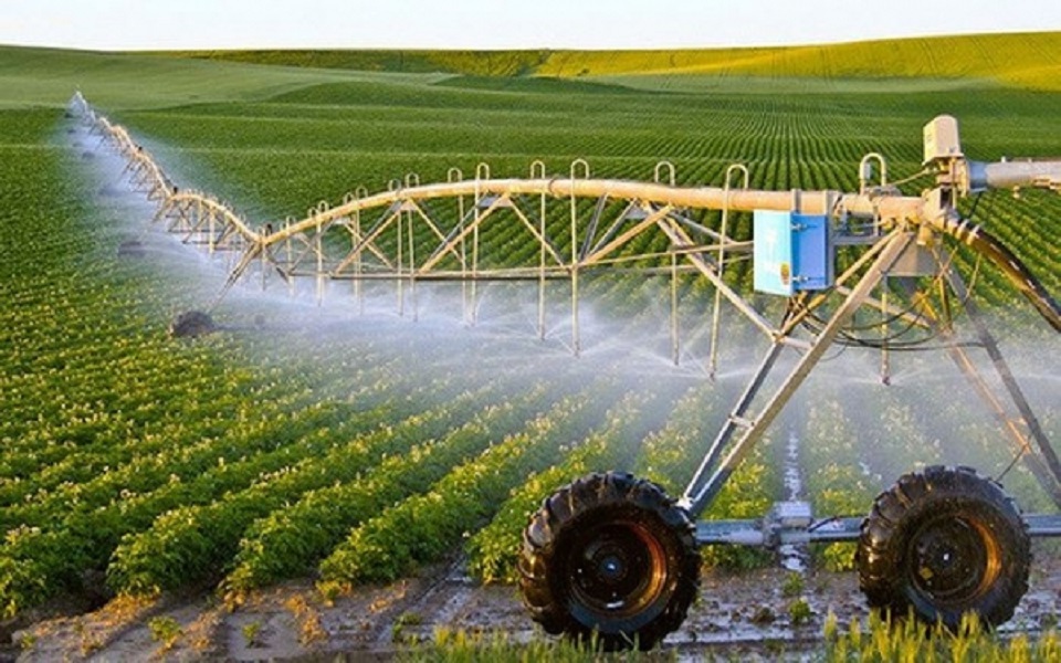 Nhiều doanh nghiệp lớn ứng dụng công nghệ cao vào sản xuất nông nghiệp.