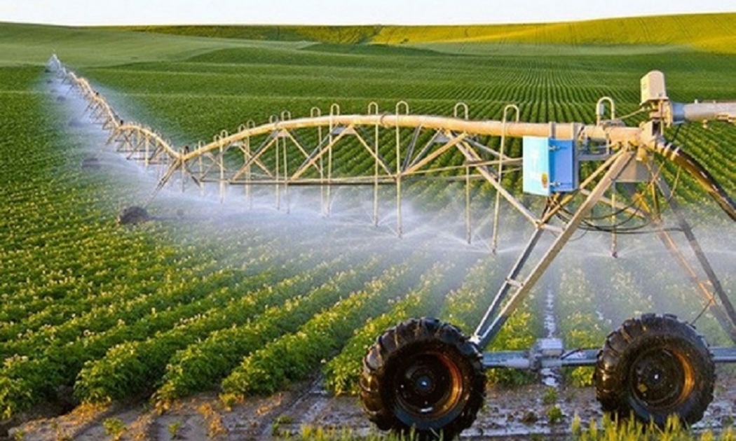Nhiều doanh nghiệp lớn ứng dụng công nghệ cao vào sản xuất nông nghiệp.
