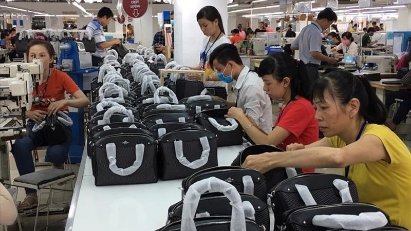 Brazil - potential market for Vietnamese exports