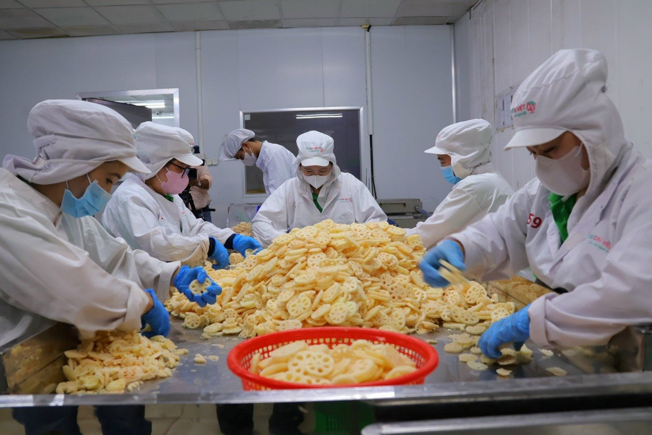 C&aacute;c&nbsp;sản phẩm sen&nbsp;hiện nay trưng b&agrave;y nhiều, nhưng thực tế thương mại h&oacute;a chưa nhiều.