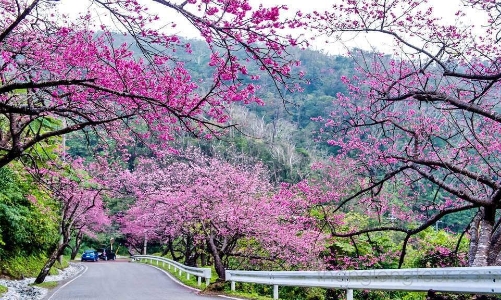 Du lịch Việt Nam đâu chỉ có mùa cao điểm hè