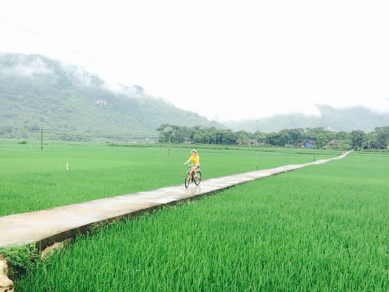 Đạp xe giữa cánh đồng lúa Mai Châu. 
