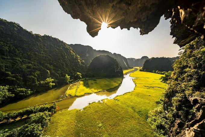 Mùa vàng Tam Cốc