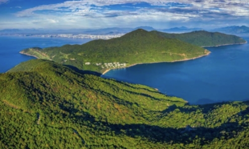 Tiềm năng kinh doanh tín chỉ carbon rừng rất lớn nhưng vướng nhiều rào cản