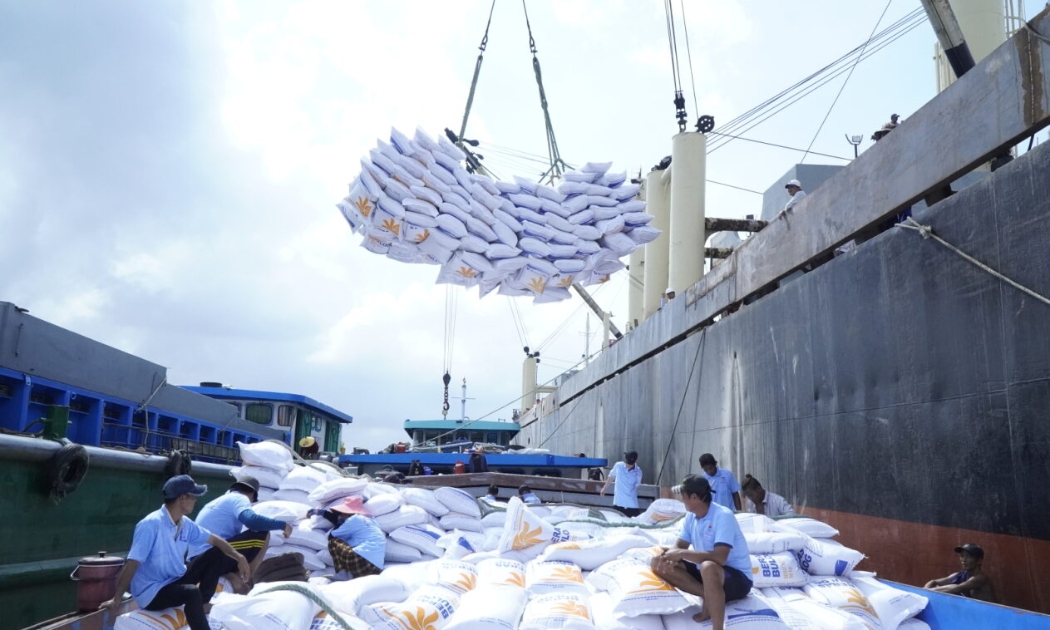 Tập đoàn Lộc Trời đã trả xong tiền nợ mua lúa vụ Đông Xuân 2023 - 2024 cho nông dân Đồng bằng sông Cửu Long. Ảnh minh họa.