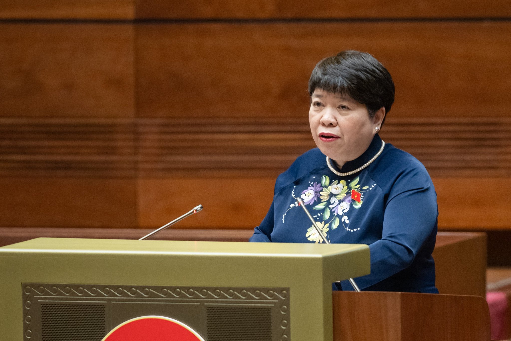 Chủ nhiệm Ủy ban Xã hội Nguyễn Thúy Anh trình bày báo cáo thẩm tra. Ảnh: Quochoi.vn.