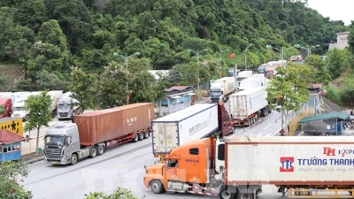 Working hours for customs clearance at border gates between Vietnam and China extended
