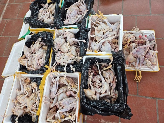Gần 200kg thịt gà không đảm bảo an toàn thực phẩm phát hiện tại Thái Nguyên.