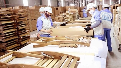 Wood exports back to growth path