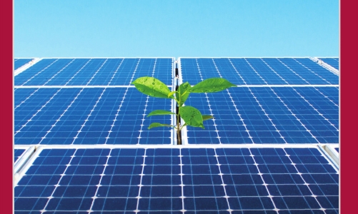 Vietnam Economic Times May 15, 2024