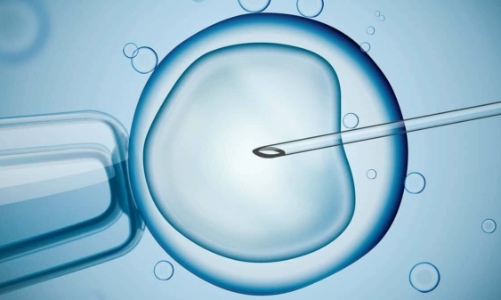 Ứng dụng Robot và AI vào thụ tinh trong ống nghiệm