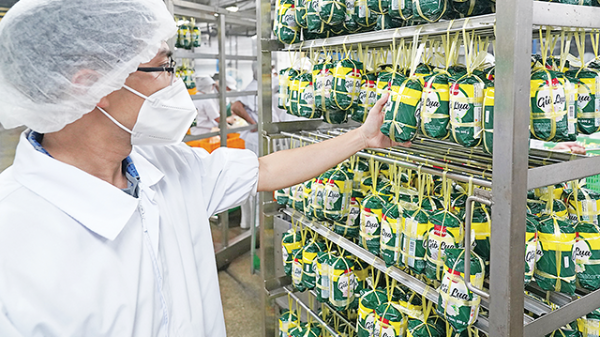 Nỗ lực kìm giá tiêu dùng vì sức mua còn thấp