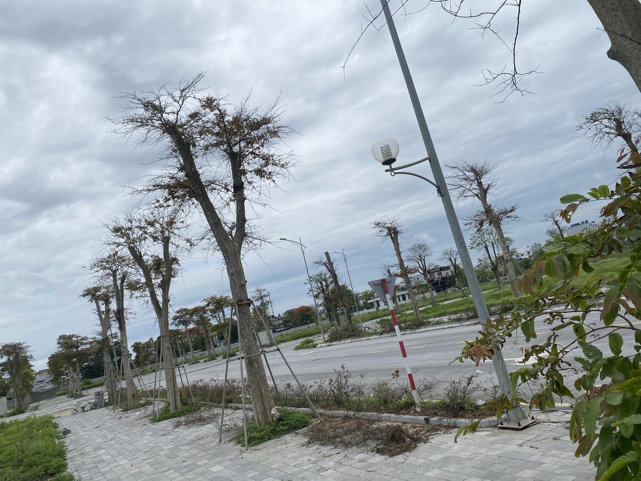 Tuy nhiên đến nay, theo ghi nhận tại dự án không có máy móc, công nhân hoạt động, triển khai xây dựng các công trình nhà ở và dịch vụ cao cấp.