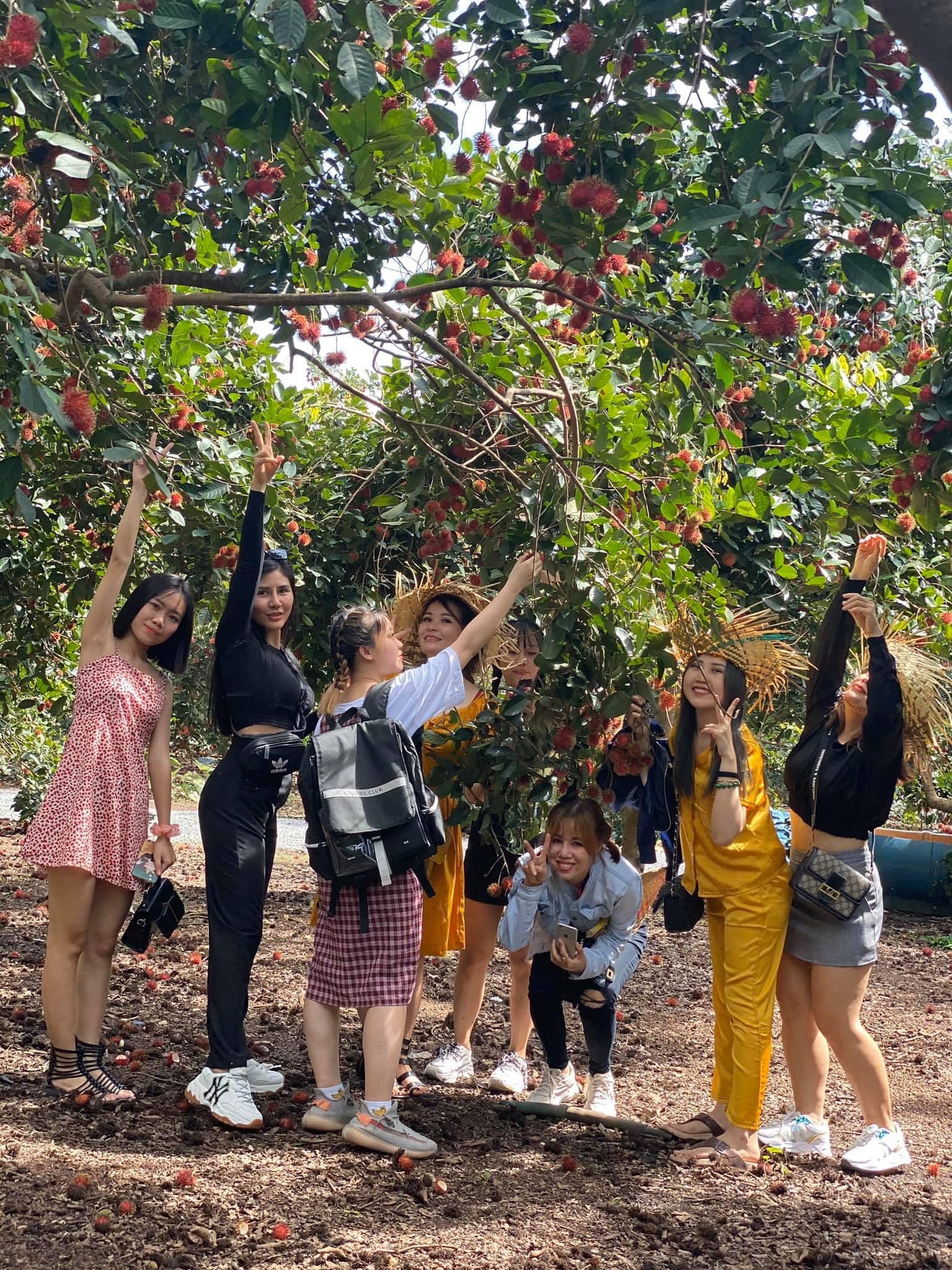 V&agrave;i năm trở lại đ&acirc;y, c&aacute;c vườn ch&ocirc;m ch&ocirc;m Long Kh&aacute;nh li&ecirc;n kết với một cơ sở chuy&ecirc;n tổ chức du lịch, trở th&agrave;nh điểm tham quan của du kh&aacute;ch.