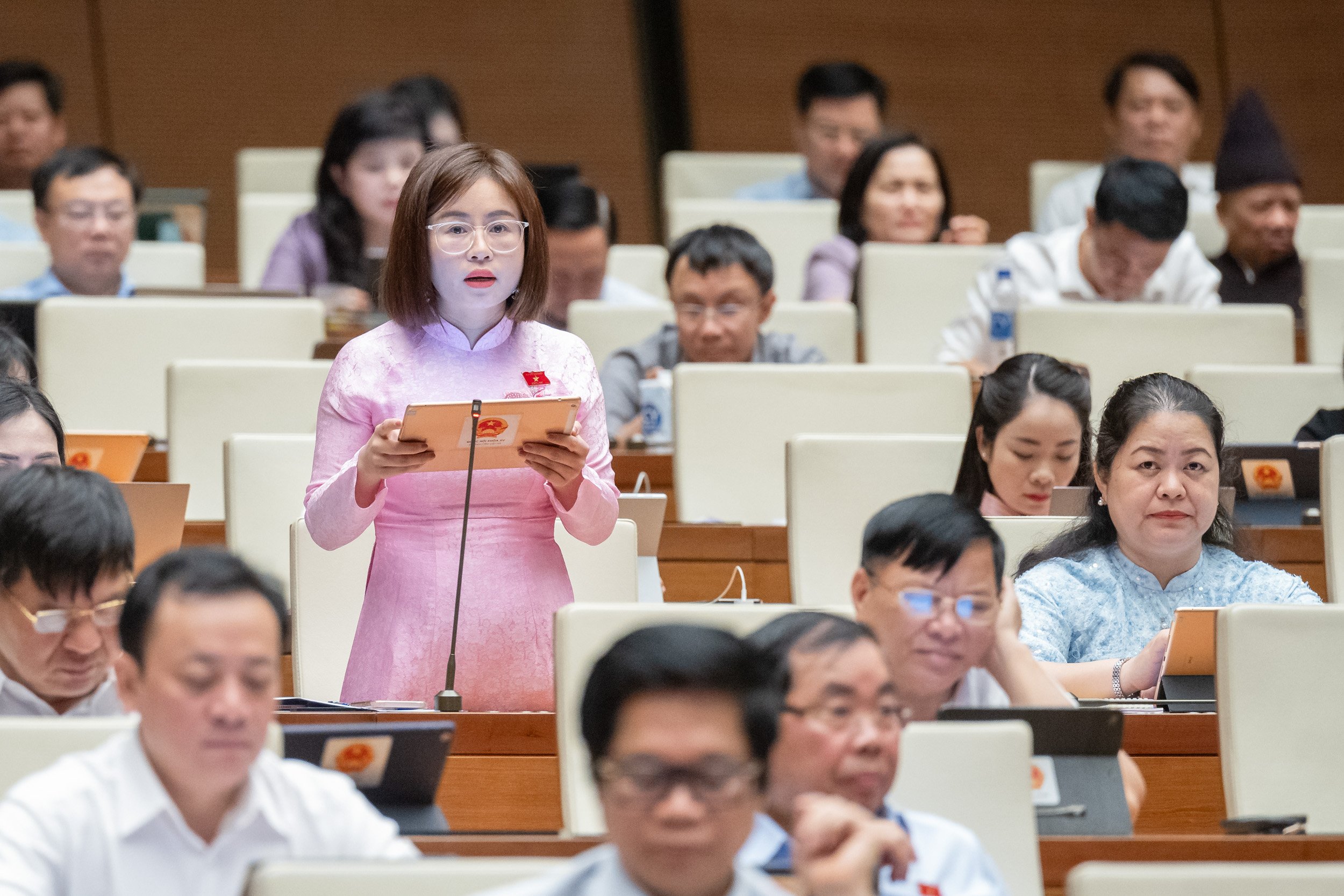 Đại biểu Nguyễn Việt H&agrave;, đo&agrave;n Tuy&ecirc;n Quang, ph&aacute;t biểu tại hội trường ng&agrave;y 29/5.