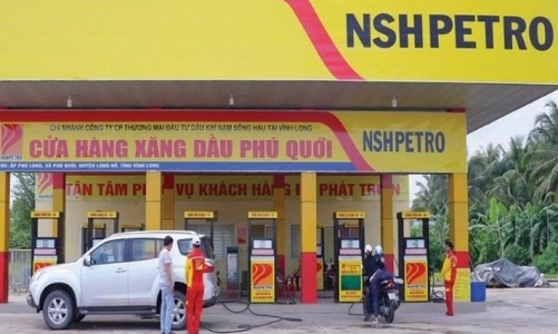 4 cá nhân bị phạt 6 tỷ đồng tội 