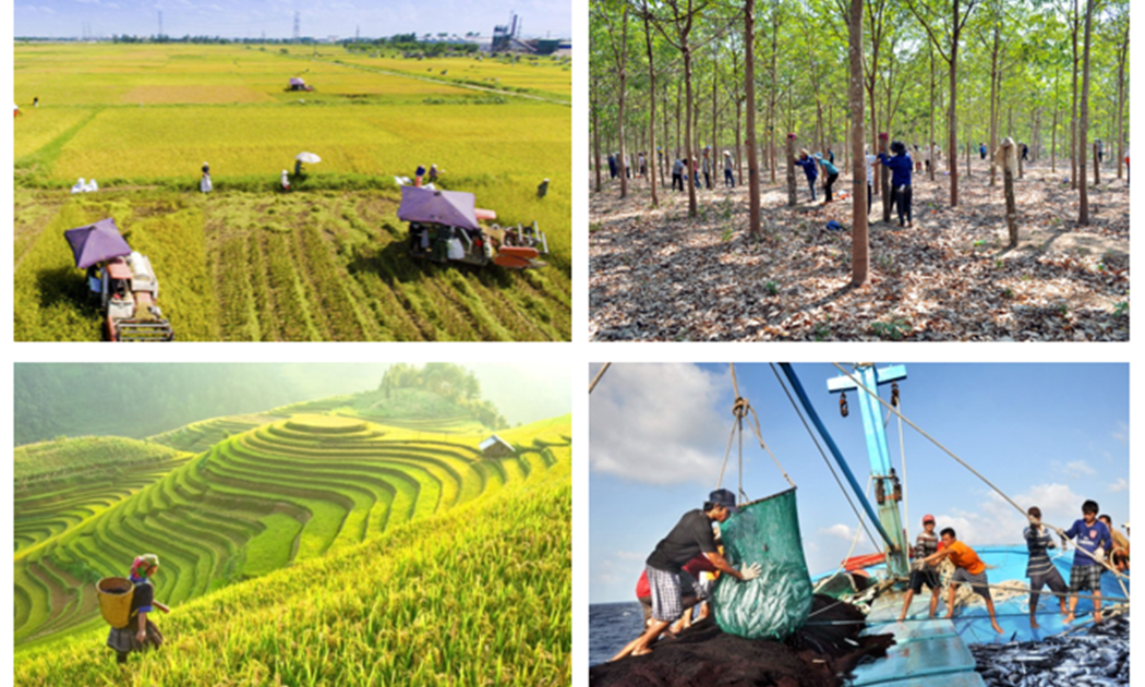 Sản xuất nông nghiệp đang thuận lợi.