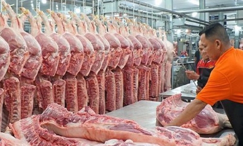  CPI tháng 5/2024 tăng do tác động từ giá thịt lợn, giá điện