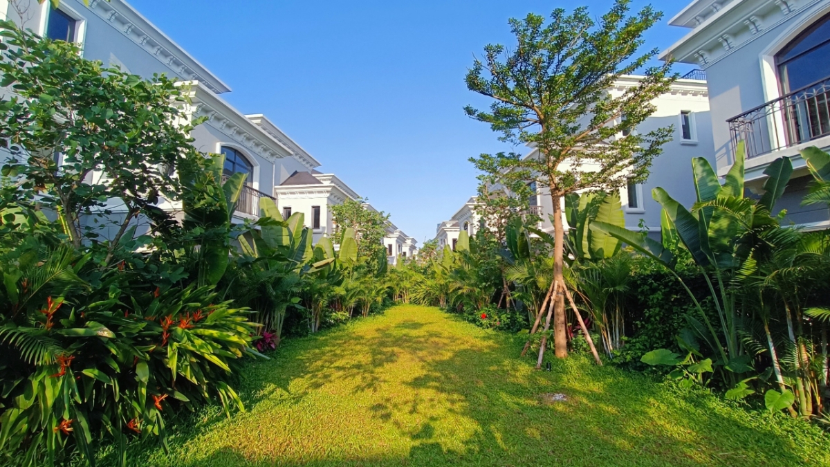 Những tầng thực vật xanh tươi, bao bọc không gian sống của cư dân.