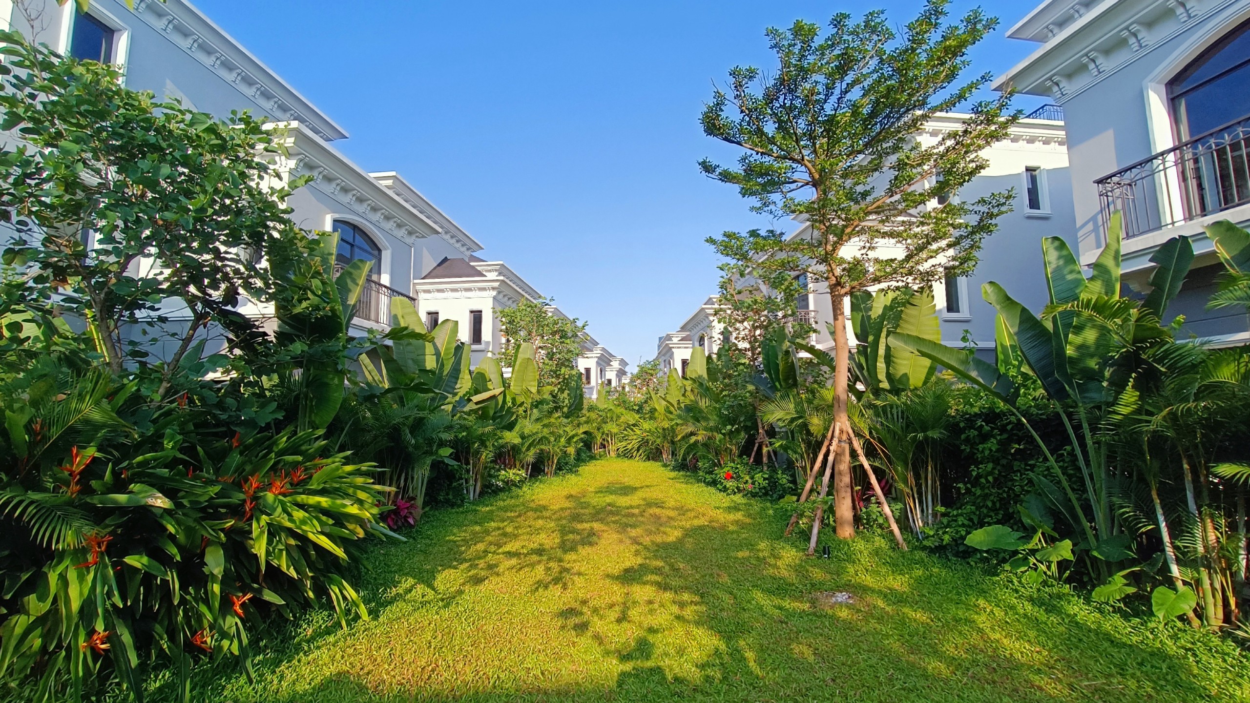 Những tầng thực vật xanh tươi, bao bọc không gian sống của cư dân.